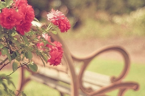 Раида Абдуллина | Казань