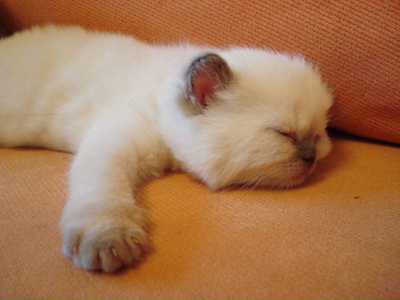 Лариса Дмитрук | Саратов