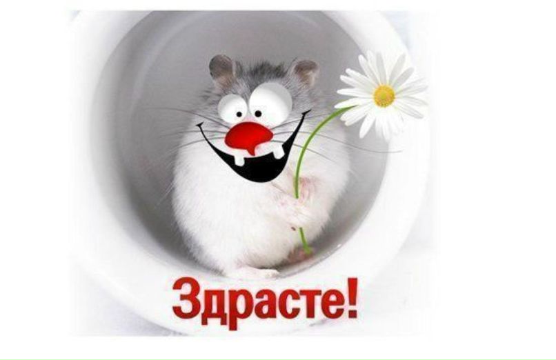 Антон Антонов | Москва