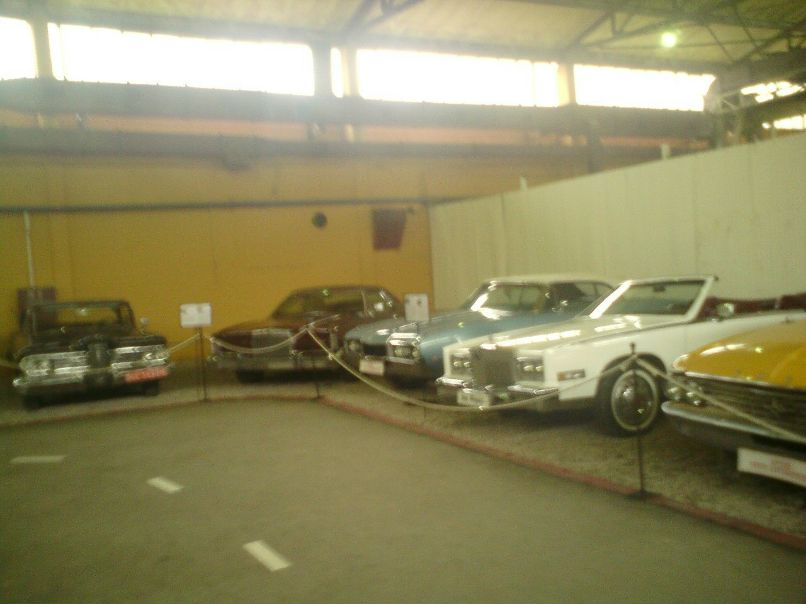 Дмитрий Николаев | Завидово