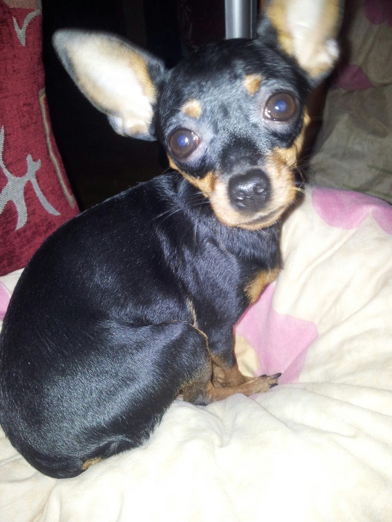 Марина Железнова | Сергиев Посад