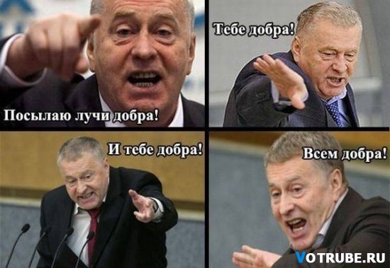 Артемус Обыкновенус | Москва