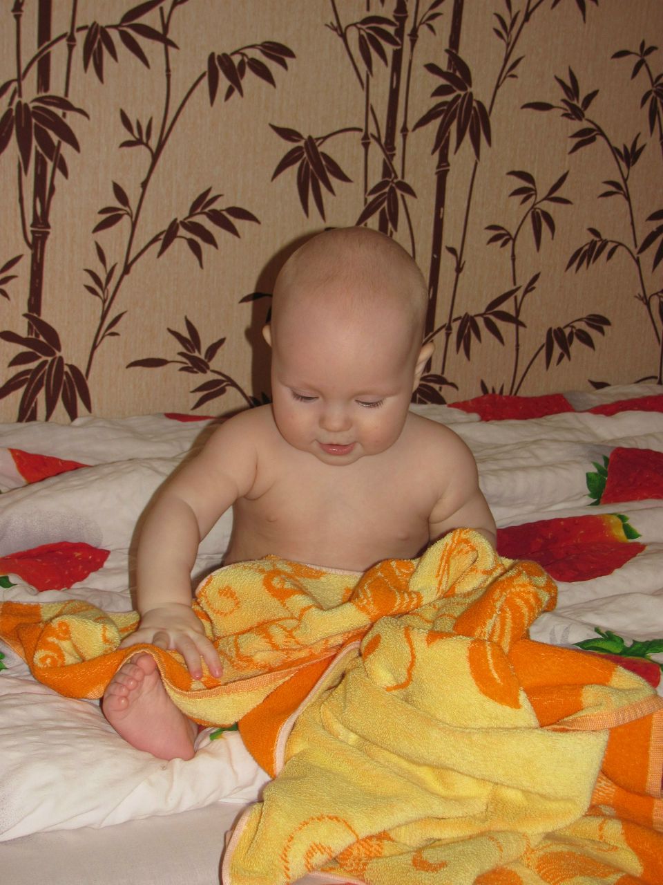 Владимир Лялин | Рязань