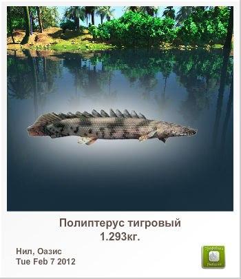 Serghei Sirbu | Кишинев