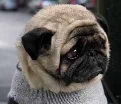 Оксана Трубаева | Москва