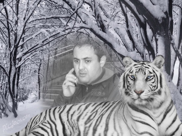 №8, Vahe Sahakyan, Paris №8, Vahe Sahakyan, Paris