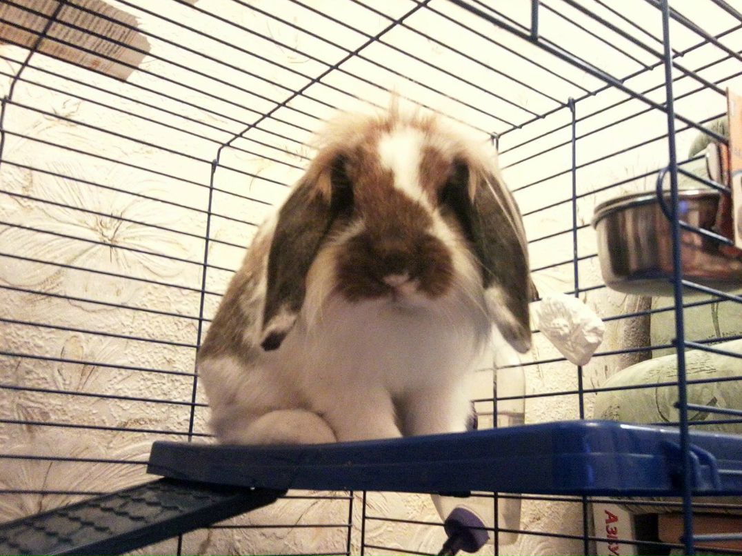 Ленок Кириченко | Киев