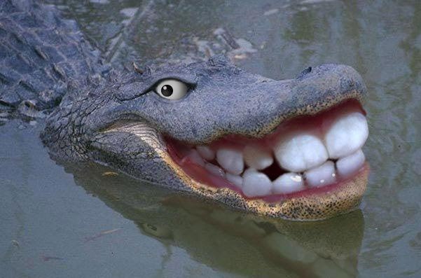 №51, Юличка Pretty-Girl, 37 лет, Конотоп №51, Юличка Pretty-Girl, 37 лет, Конотоп