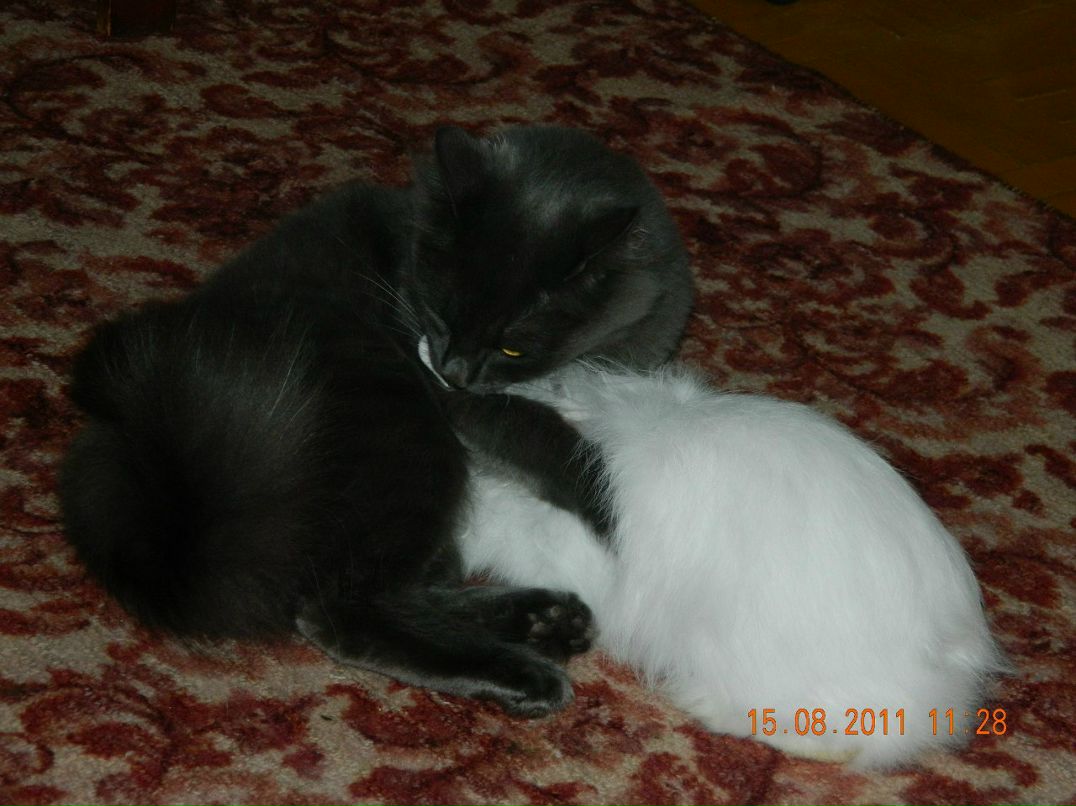 Евгений Мельниченко W | Челябинск