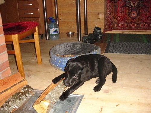 №22, Татьяна Коблова, 65 лет, Санкт-Петербург, Россия №22, Татьяна Коблова, 65 лет, Санкт-Петербург, Россия