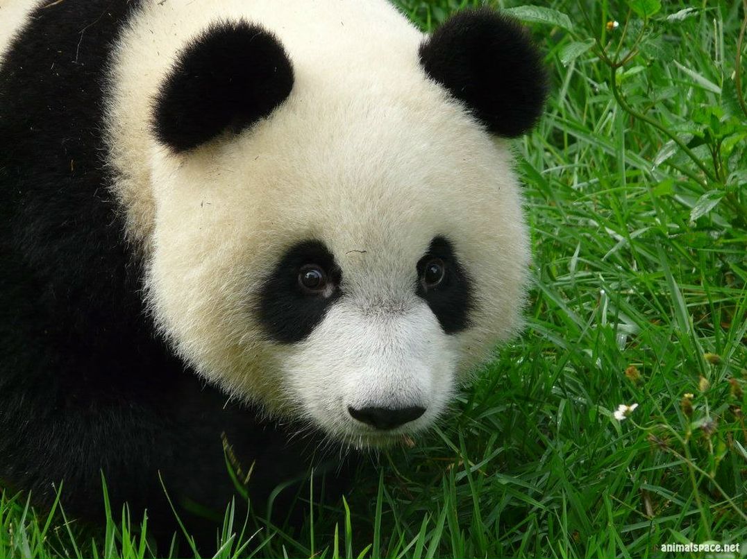 Роман Федченко | Запорожье