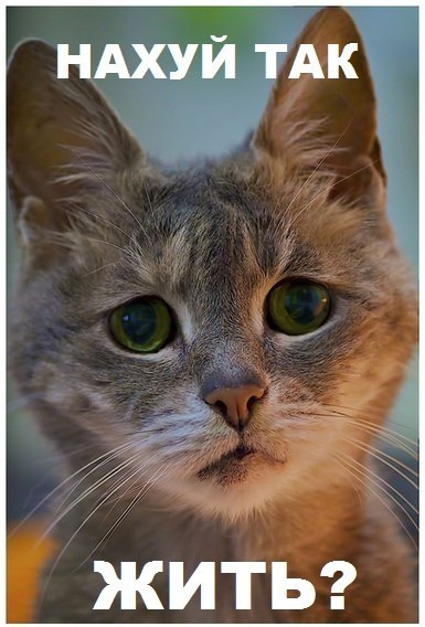 Дария Князева | Вараш / Кузнецовск