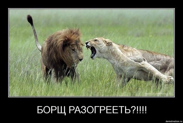 Ольга Денисова | 