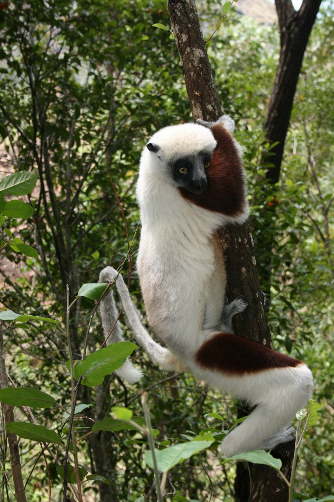 Сергей Костромитин | Москва