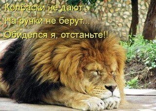 Костя Спасенников | 