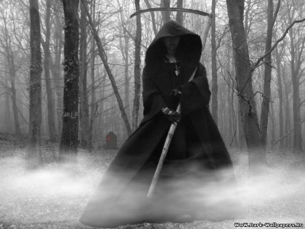 Ирек Садриев | Альметьевск