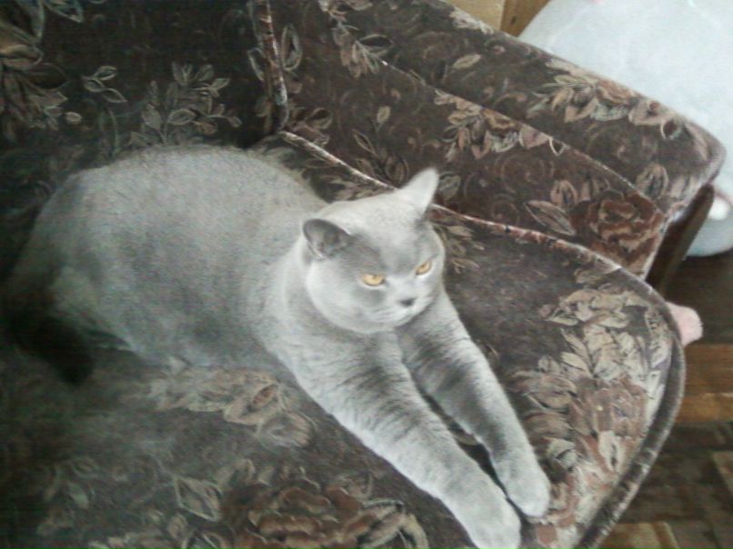 Светлана Завьялова | Санкт-Петербург