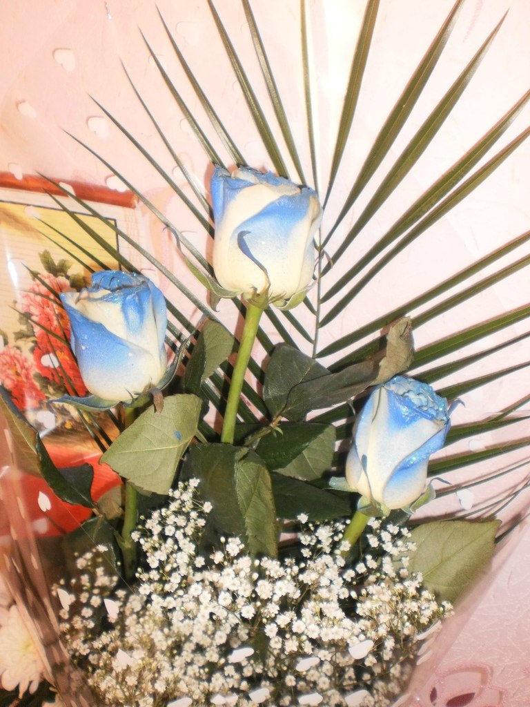 Олеся Григорьева | Ижевск