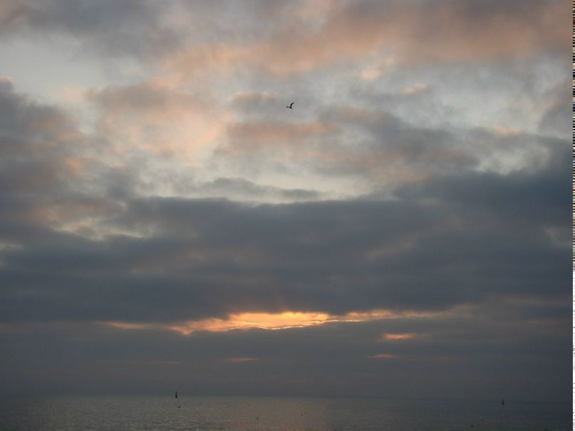 Наталья Мискевич | Евпатория