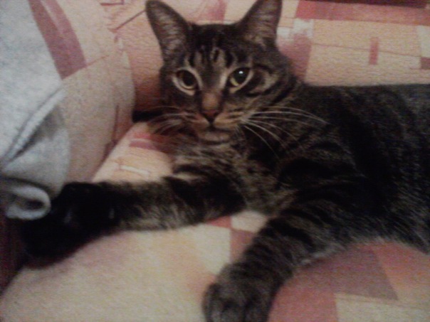 №81, Марья Маруша, 23.12, Петрозаводск №81, Марья Маруша, 23.12, Петрозаводск