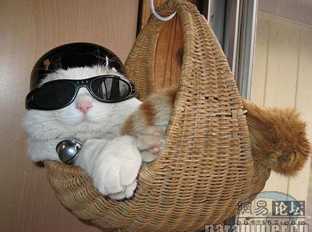 №48, Ushano Грузино, 37 лет, Москва №48, Ushano Грузино, 37 лет, Москва