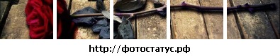№115, Вероника Стрильчук №115, Вероника Стрильчук