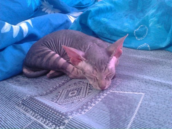 №107, Альбина Галиуллина, Тюмень №107, Альбина Галиуллина, Тюмень