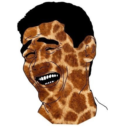 №16, Максим Радзивон, Николаев №16, Максим Радзивон, Николаев