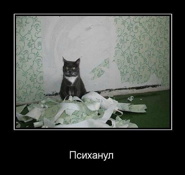 Максимилияна Крижанская | Москва