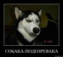 Фотография Виктор Синицын