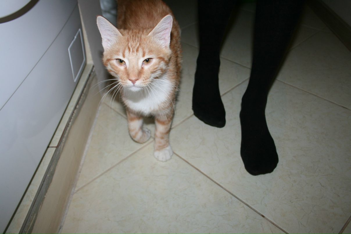 Юля Хатымова | Санкт-Петербург