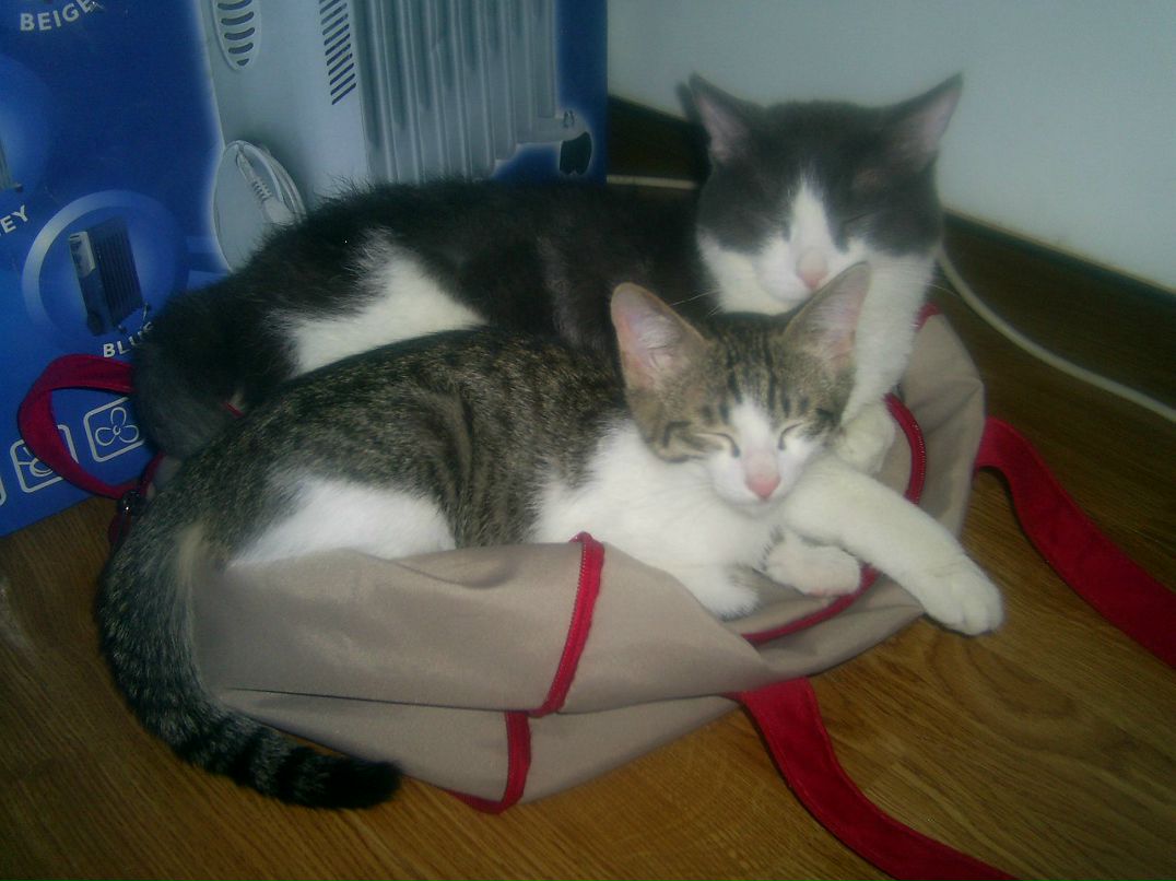 Анна Гусарова | Алматы