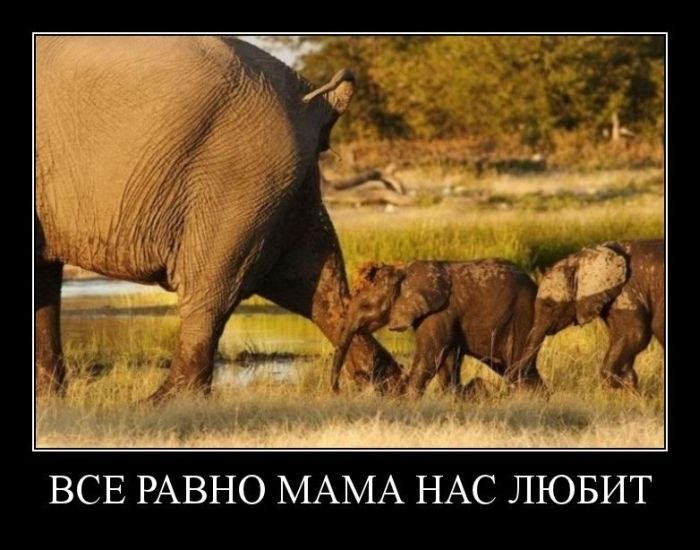 Оксана Гузь | Киев