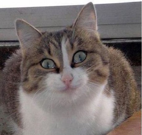 Руслан Закиров | Екатеринбург