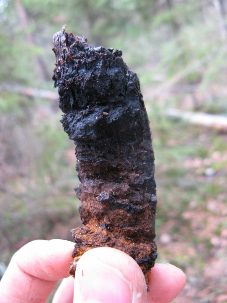 Сергей Дружинин | Архангельск