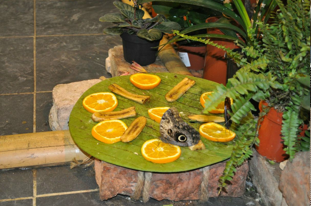 Виктор Глок | Санкт-Петербург