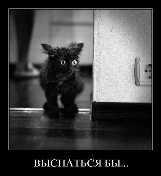 Акмаль Нишанов | Санкт-Петербург