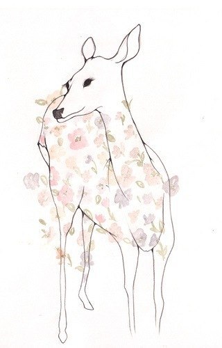 Аделя Сушко | Волгоград