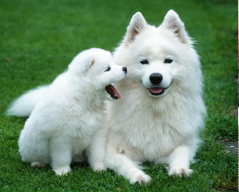 Елена Никитина <Valeriano>GiRl | Днепр (Днепропетровск)