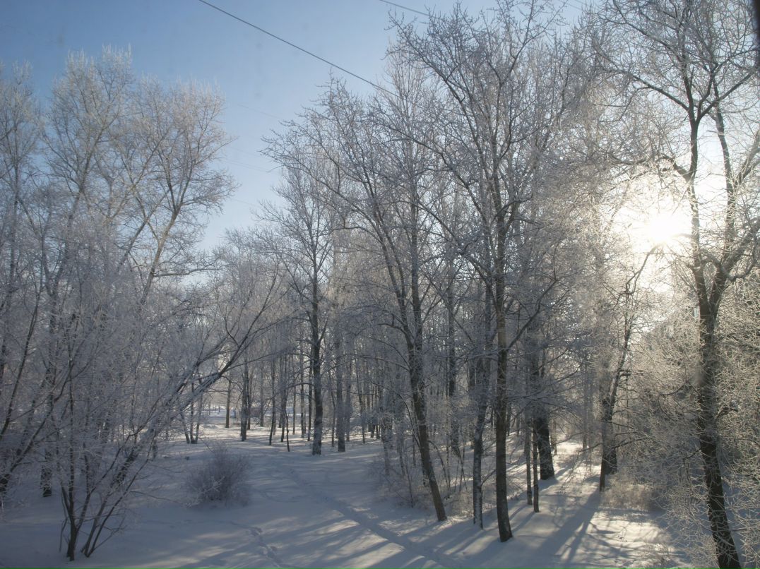 Игорь Игоревич | Санкт-Петербург