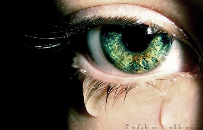 Вадим Никишин | Орёл