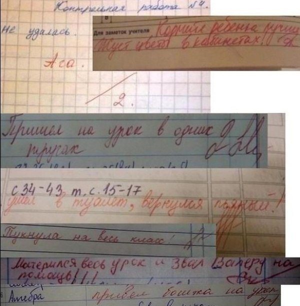 Алексей Васильев Сергеевич | Алмалы