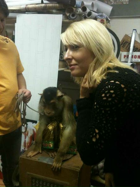 №34, Алёна Мареева, Москва №34, Алёна Мареева, Москва