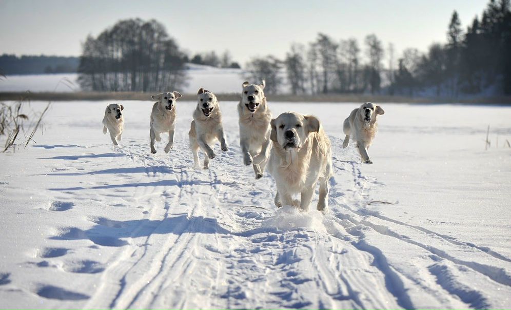 №88, Саша Жажа №88, Саша Жажа