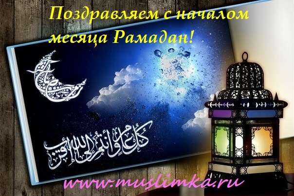№13, Муслима Аматуллах №13, Муслима Аматуллах