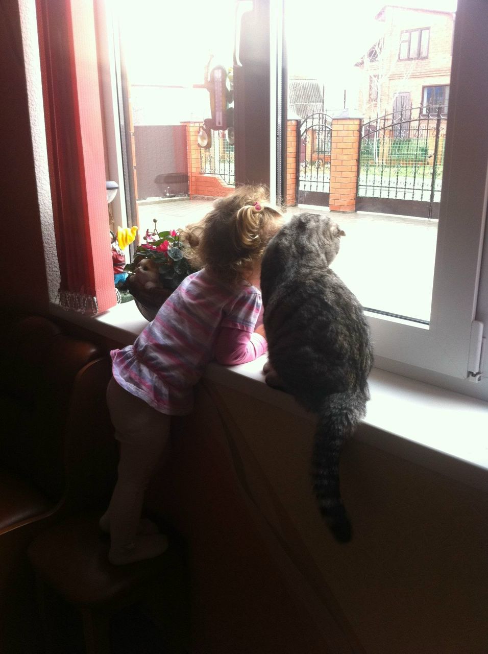 Евгения Голубятникова | Новороссийск