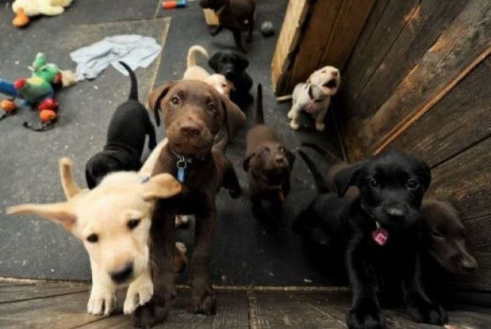 Антон Умрихин | 