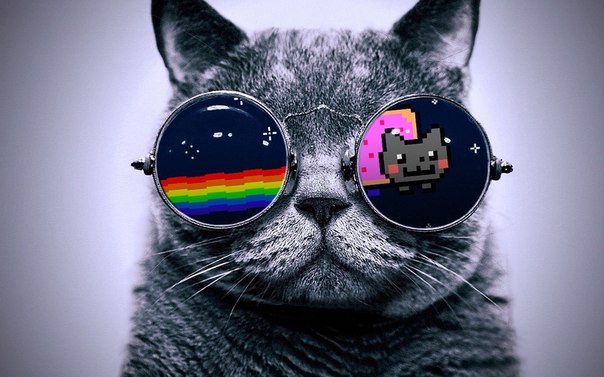 №19, Натмир Катханов №19, Натмир Катханов