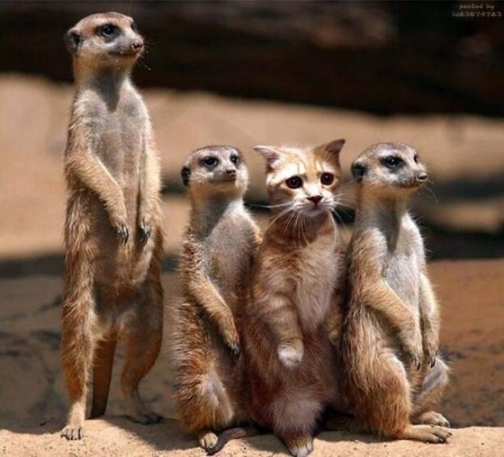 Роман Двойников | Москва