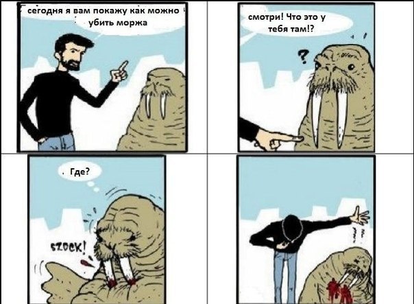 Дмитрий Поликарпов | Мытищи